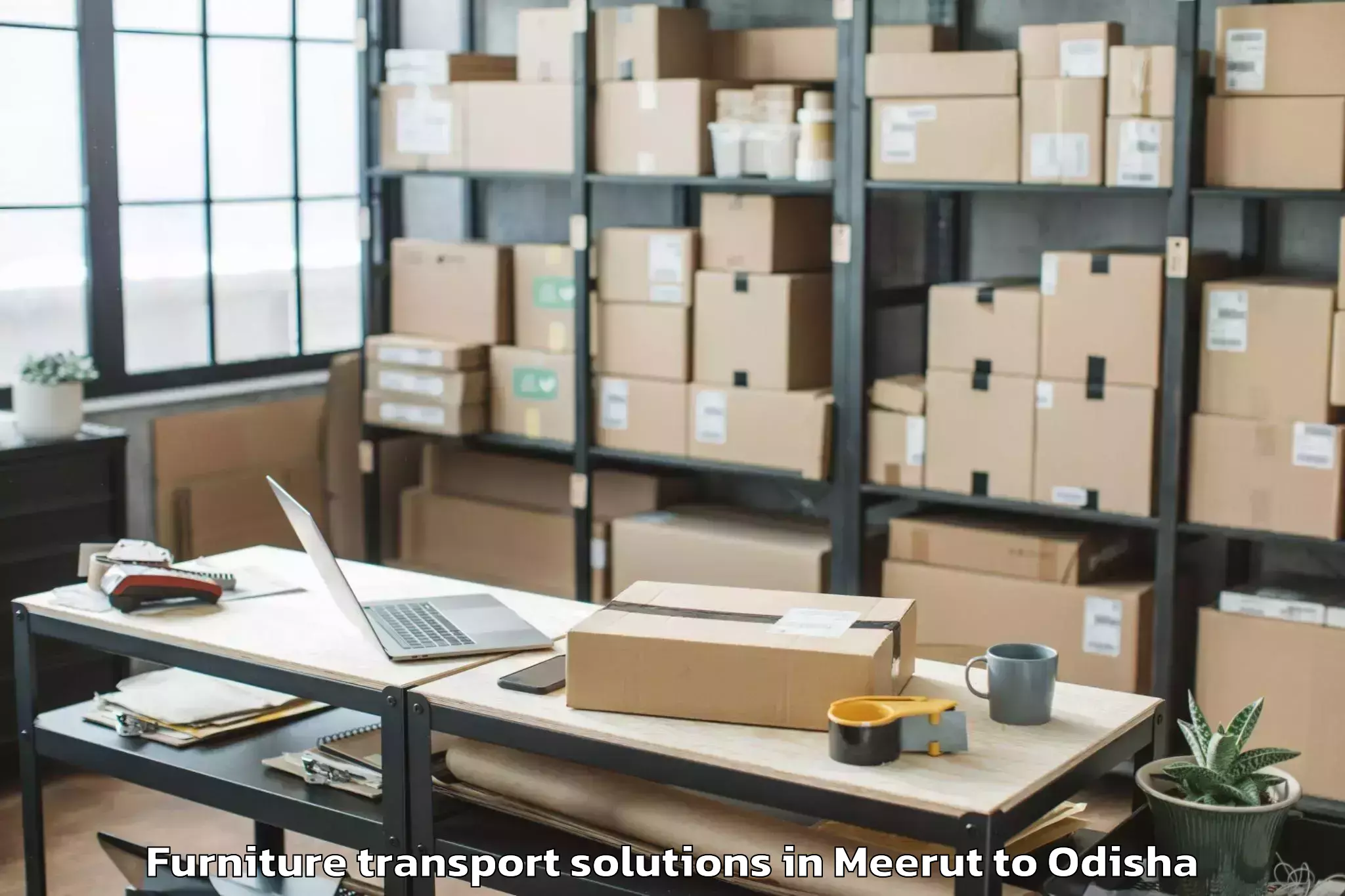 Book Meerut to Badampahar Furniture Transport Solutions Online